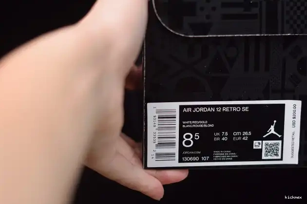 Cheap MAX Retro 12 Air Jordan 130690-107 (2019) 
